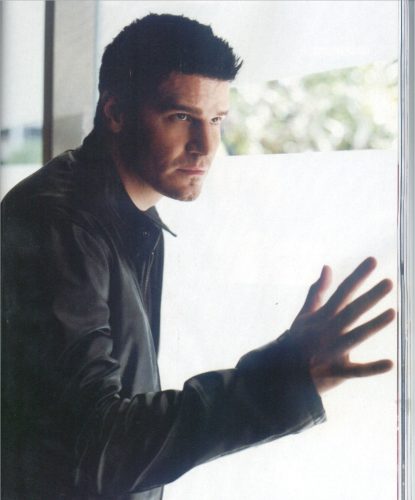 David19
