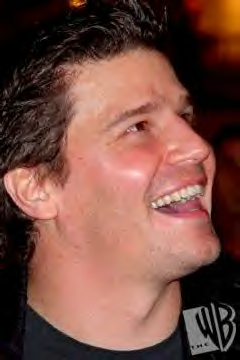 David39