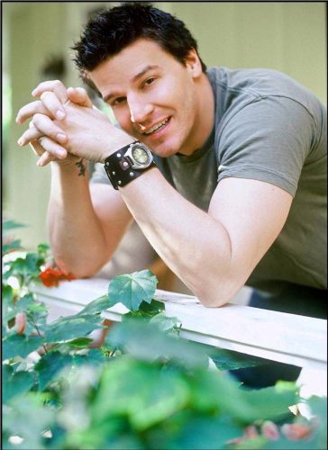 David63