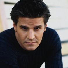 David Boreanaz
