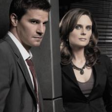 David Boreanaz
