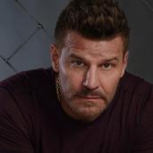 David Boreanaz
