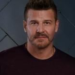David Boreanaz