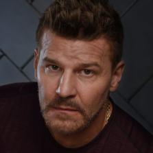 David Boreanaz