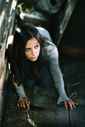 Sarah Michelle Gellar